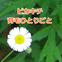 育毛ひとりごと_pikakichi2015-200x200